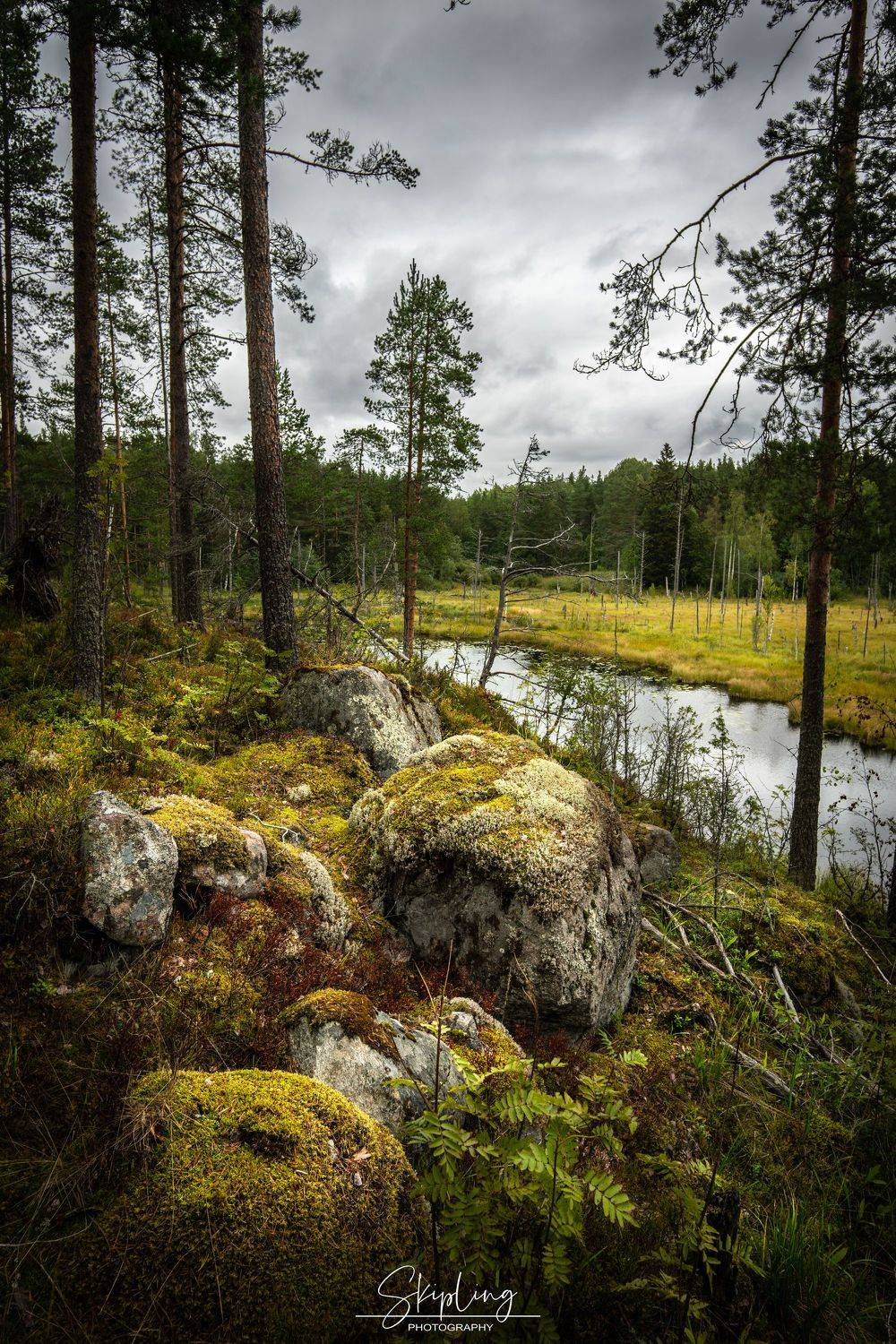карелия, ладожские шхеры, ягель, мох, осень, Ганюшкин Владимир