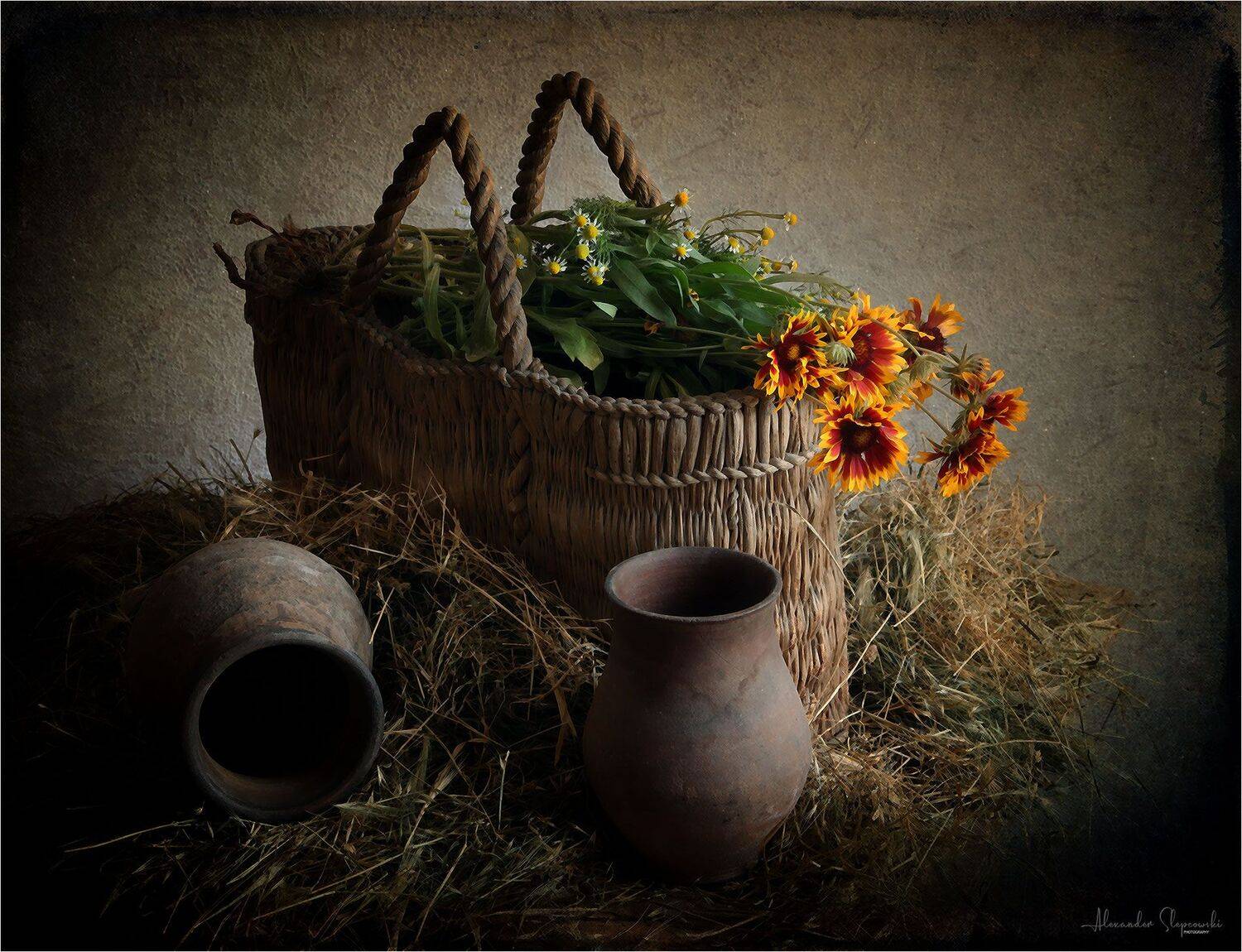 flowers, Alexander Slepcowski