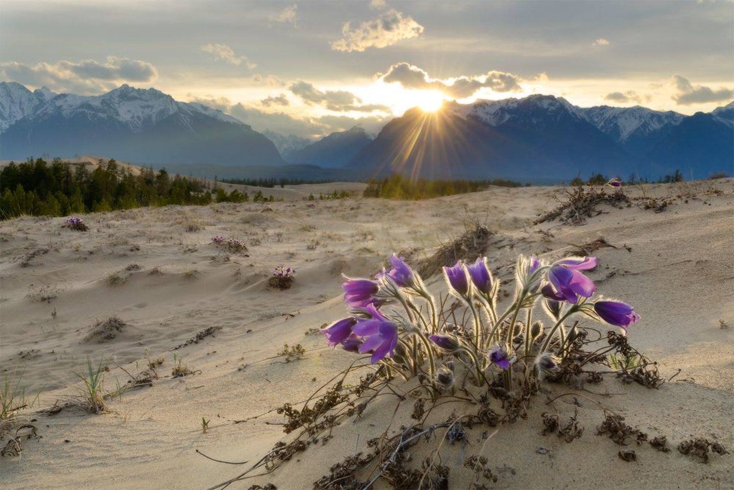 Чарские пески, Кодар, Юсупов Александр