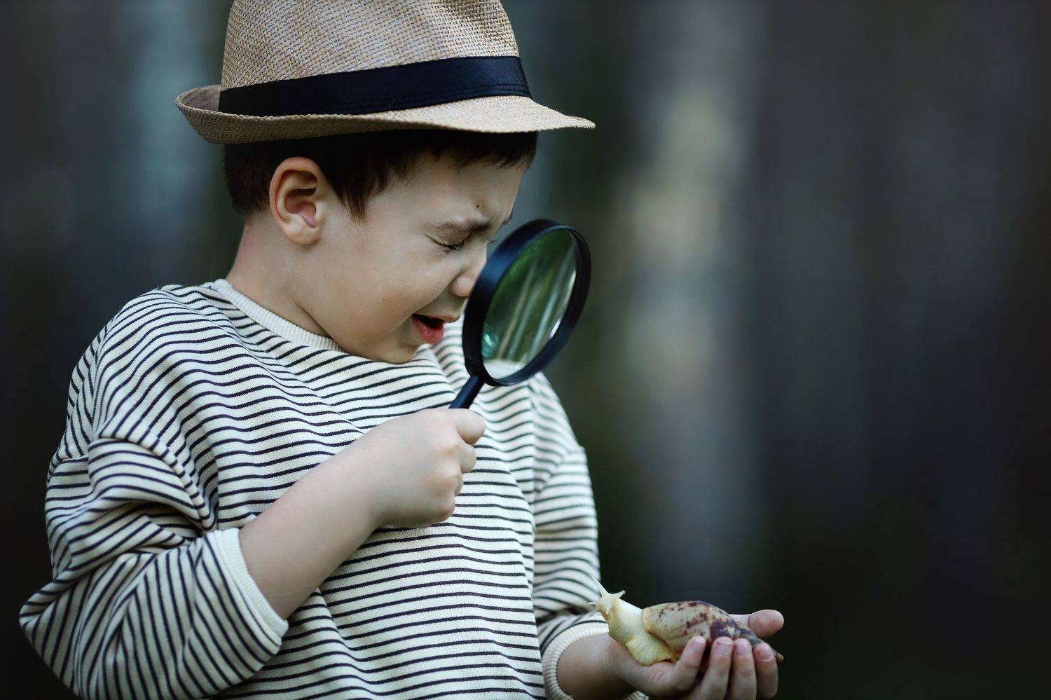 , Левина Ольга