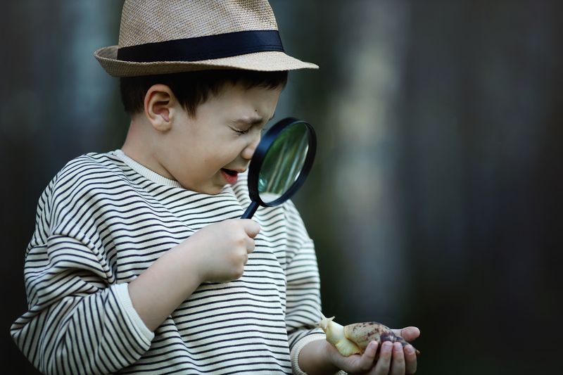 фото превью