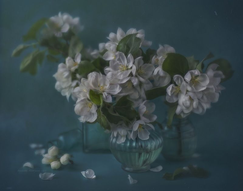 яблоневый цвет* фото превью