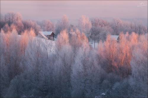Утро в Пушкинских Горах