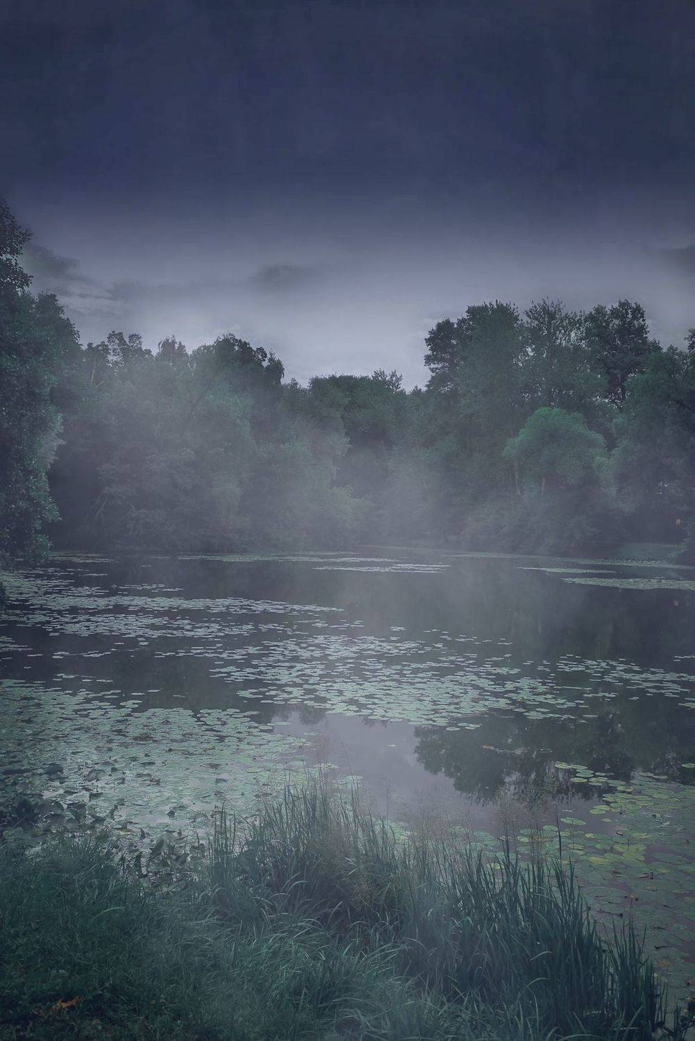 лето, summer, пруд, forest, пейзаж, landscape, nature, природа, Julia Kaissa