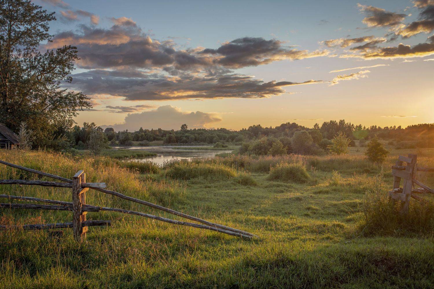 Тверская область, Гусева Елена