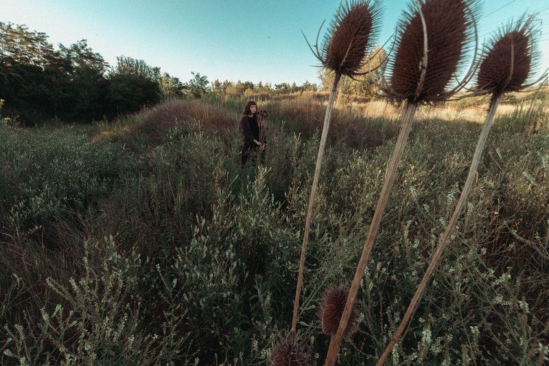 фото превью