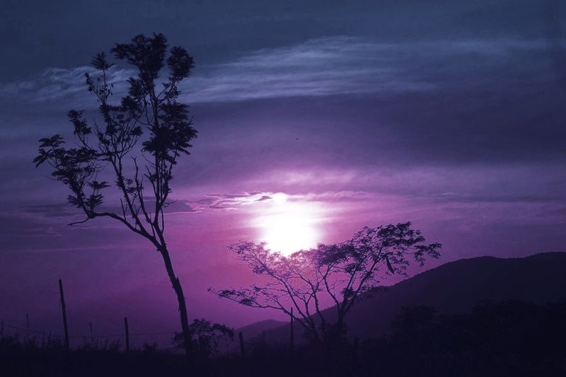 Sunrise in fusagasuga фото превью