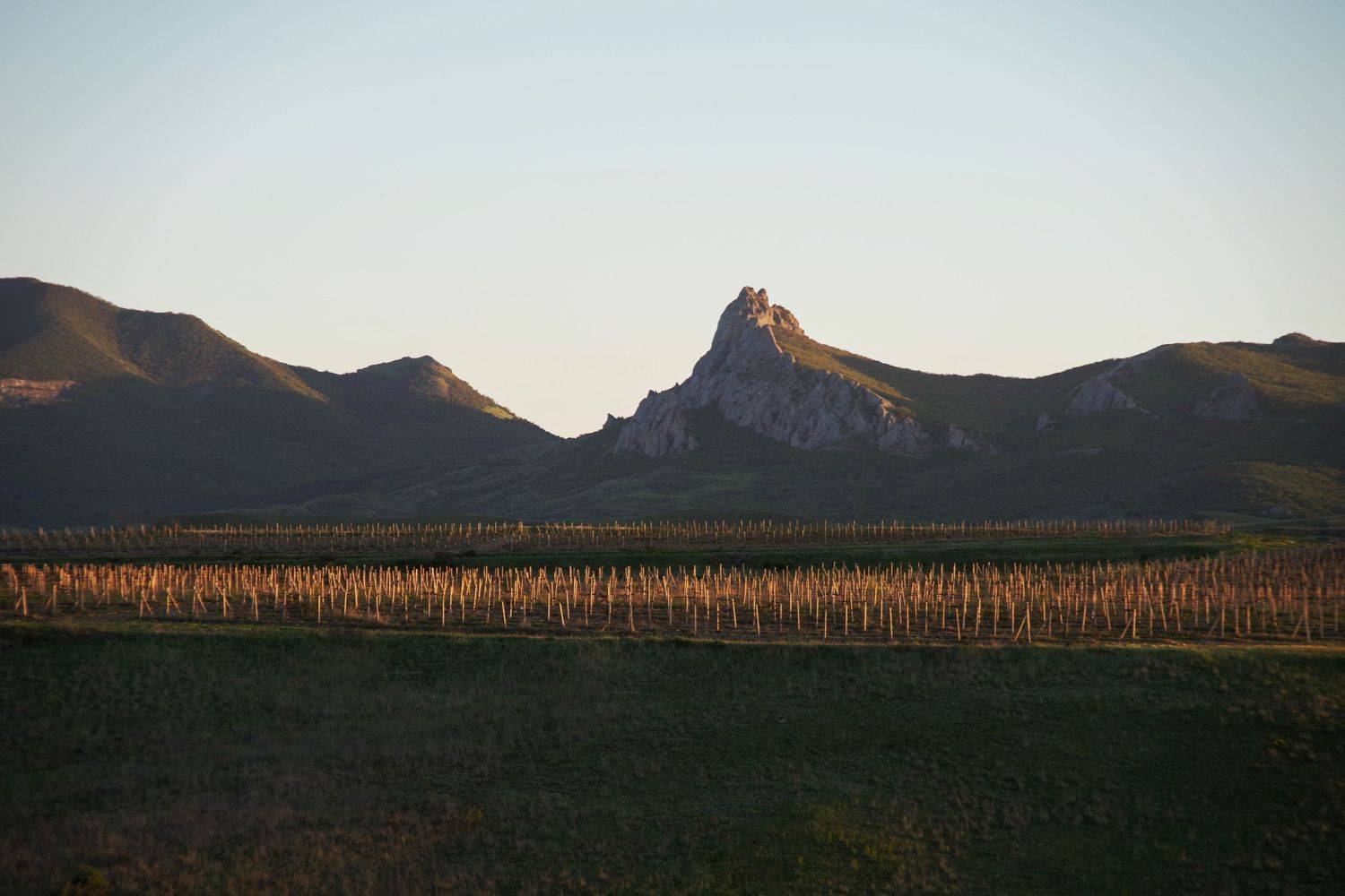 , Ольга Беккер