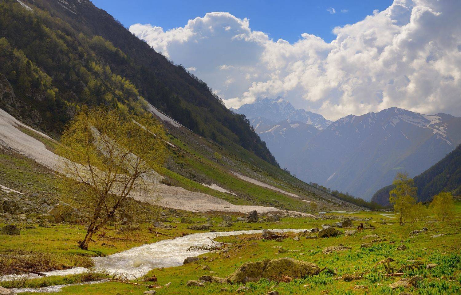 горы весна, Александр Жарников