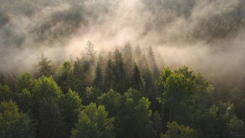 Туман в долине реки Смородинки