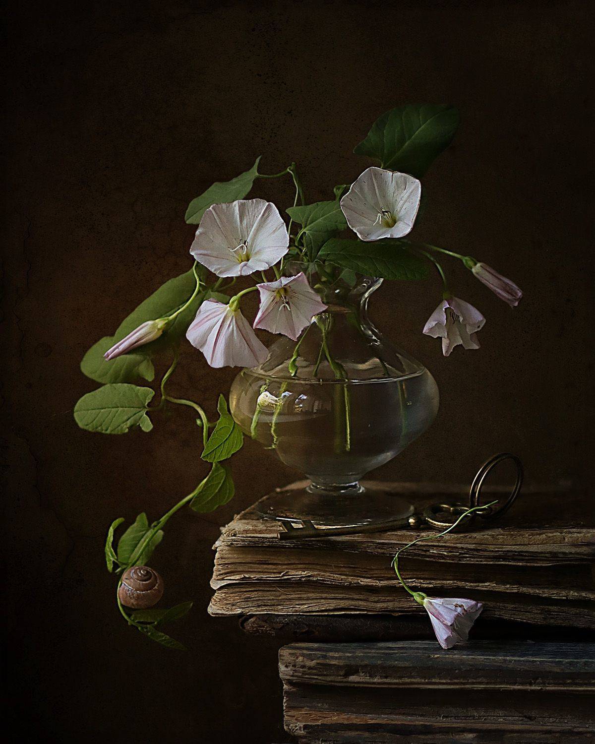 , Светлана Дерябина