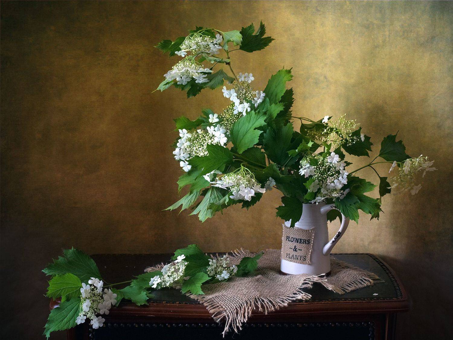 миламиронова, фотонатюрморт, stilllife, натюрмортсцветами, букет, цветы, калина, Миронова Мила