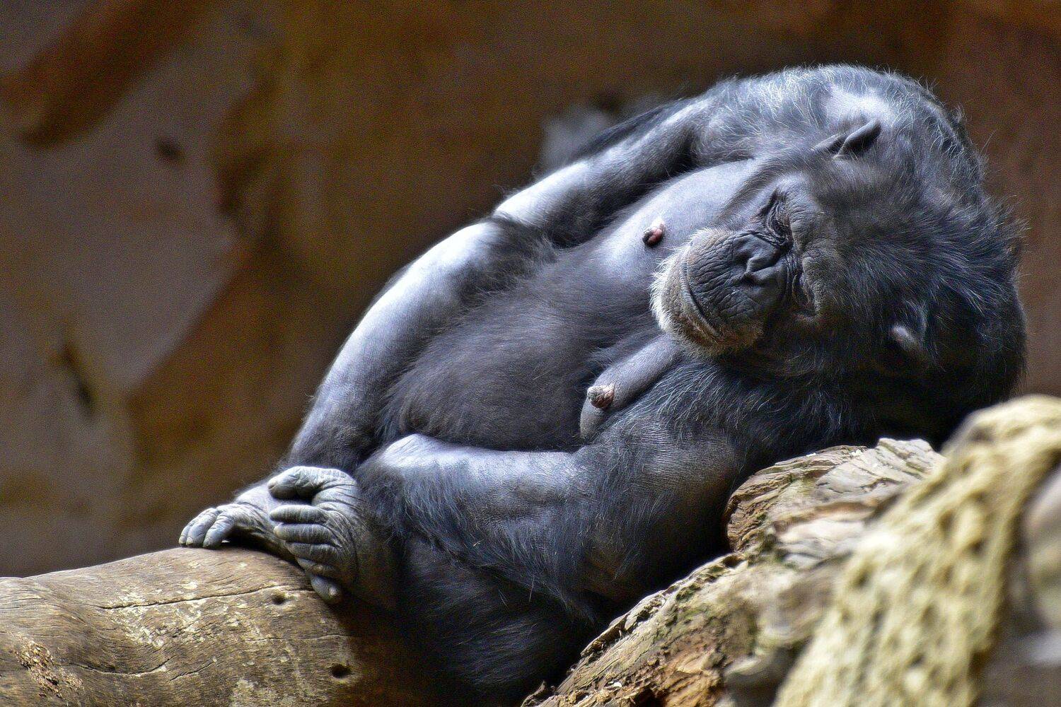 , Корнейчук Игорь