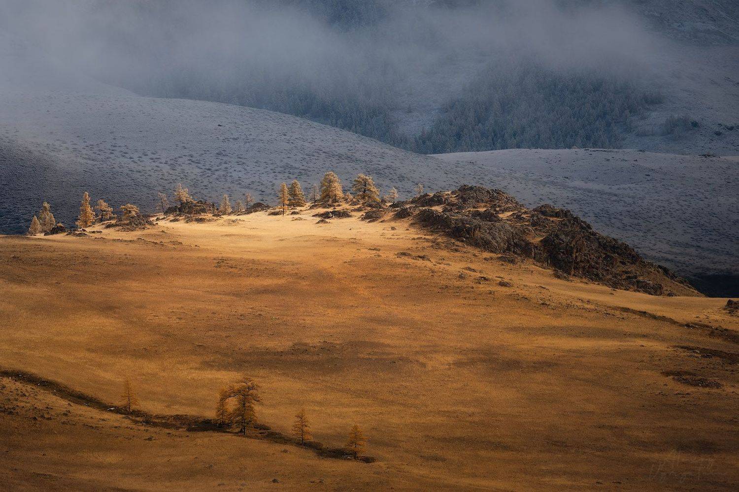 altay, autumn, october, cold, topview, aerial, landscape, Алексей Вымятнин