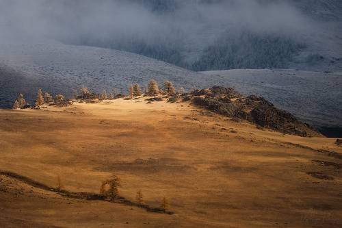 The song of ice and fire