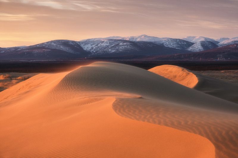 россия, забайкальский края, забайкалье, кодар, сибирь, природа, пейзаж, пустыня, чарские пески, бархан, рассвет Чарские лекала фото превью
