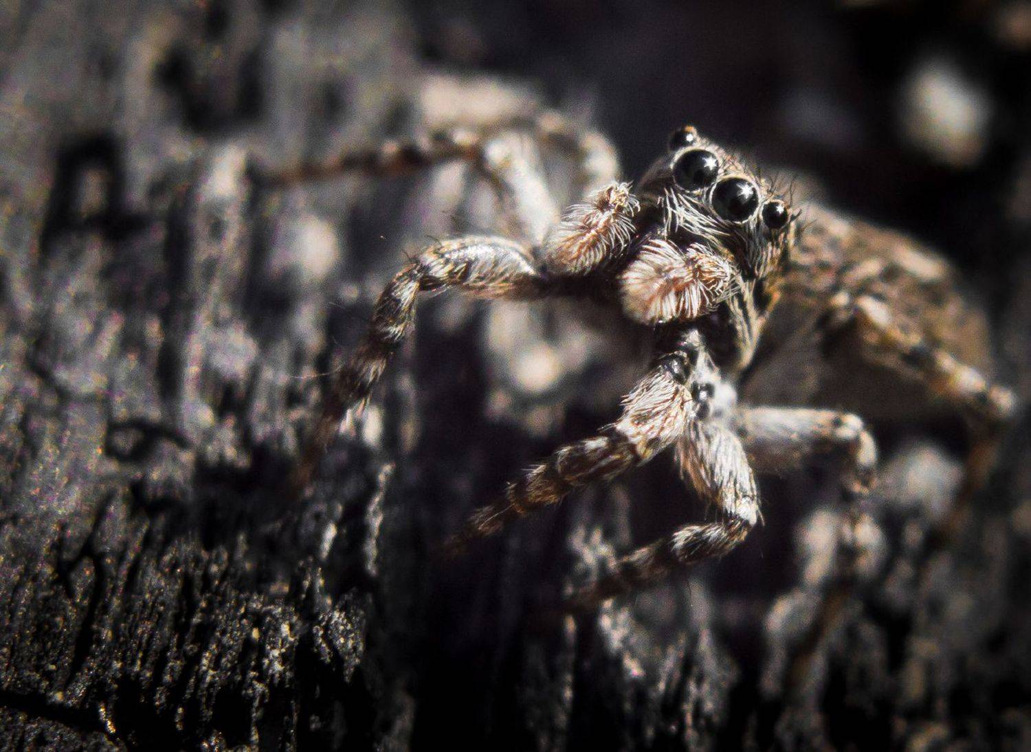 , Андрей Красников
