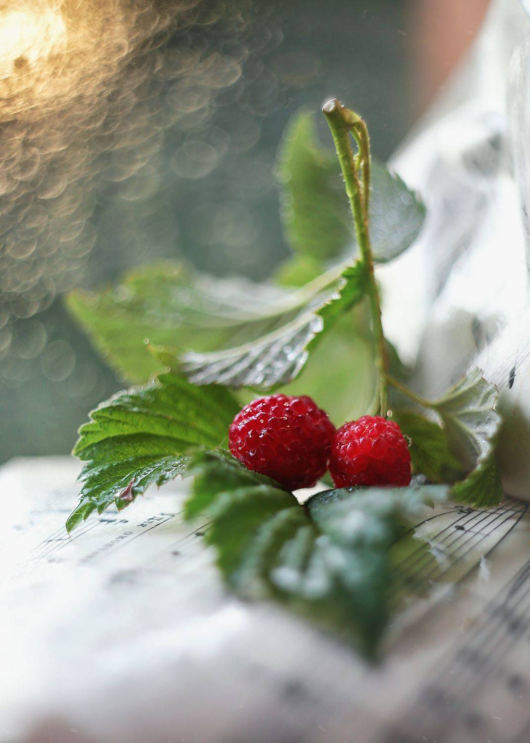 малинки,гелиос 44,доброе утро, ИРИНА ГОРЮКИНА