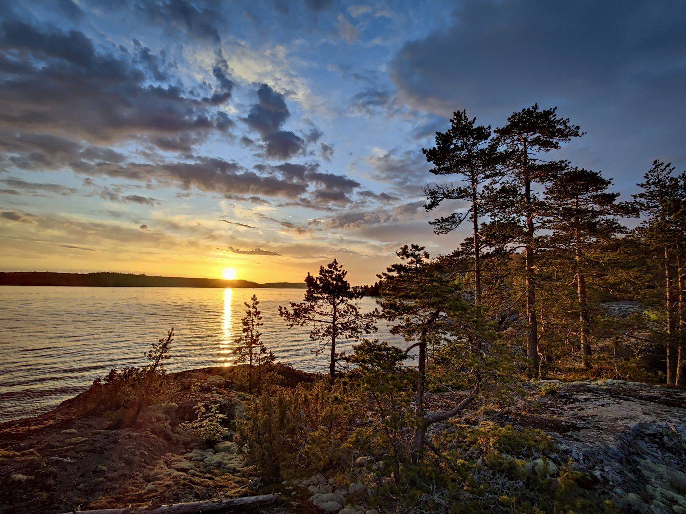 , Лесина Елена