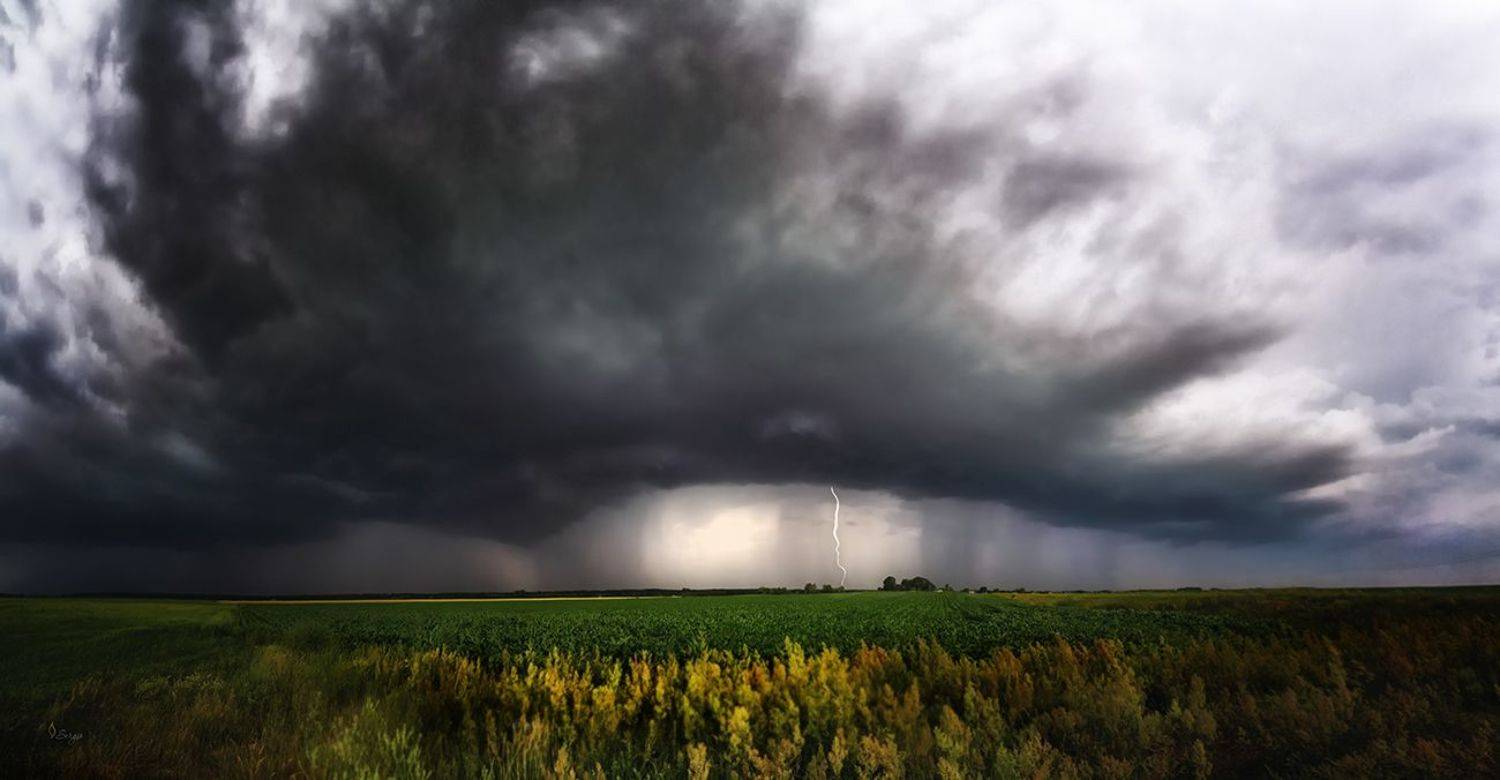Беларусь, Серж Домбровский
