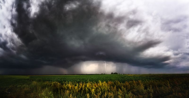 Беларусь Такое вот лето фото превью