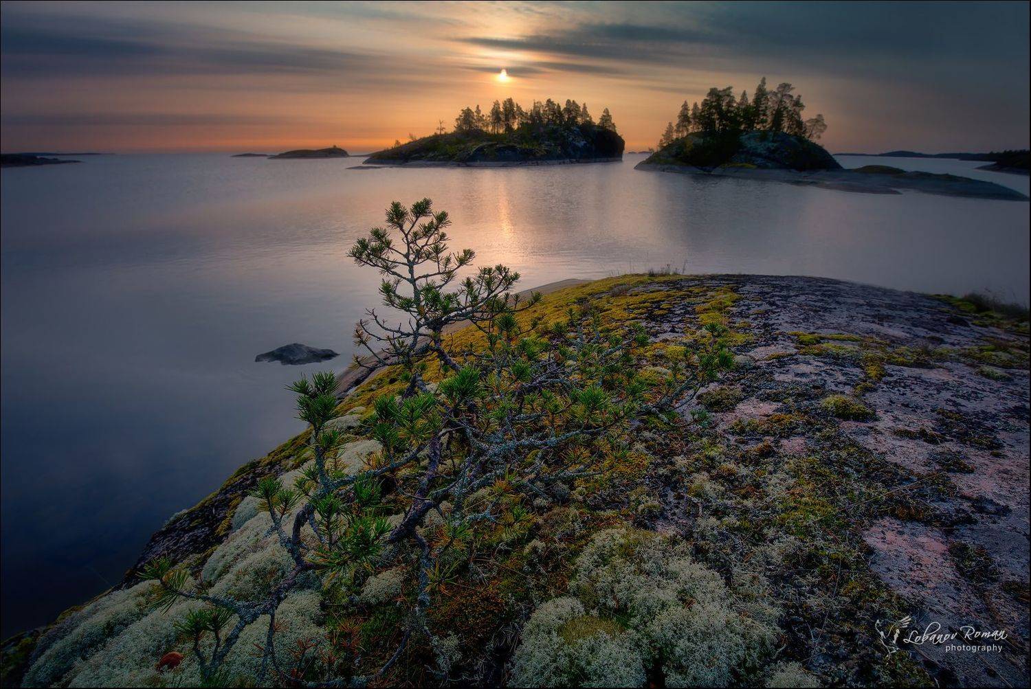 ладога, лобанов, пересвет, Лобанов Роман