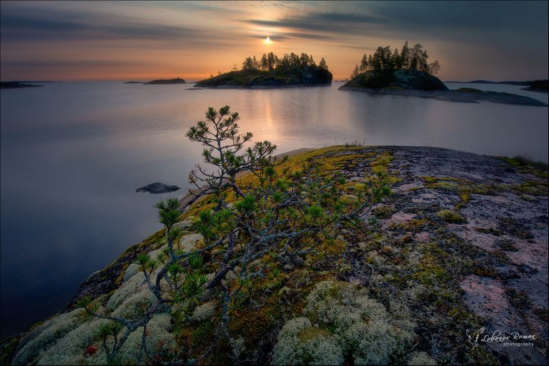 ладога, лобанов, пересвет * * * фото превью