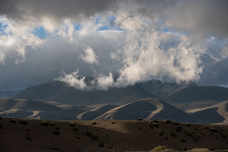Алтай фото превью