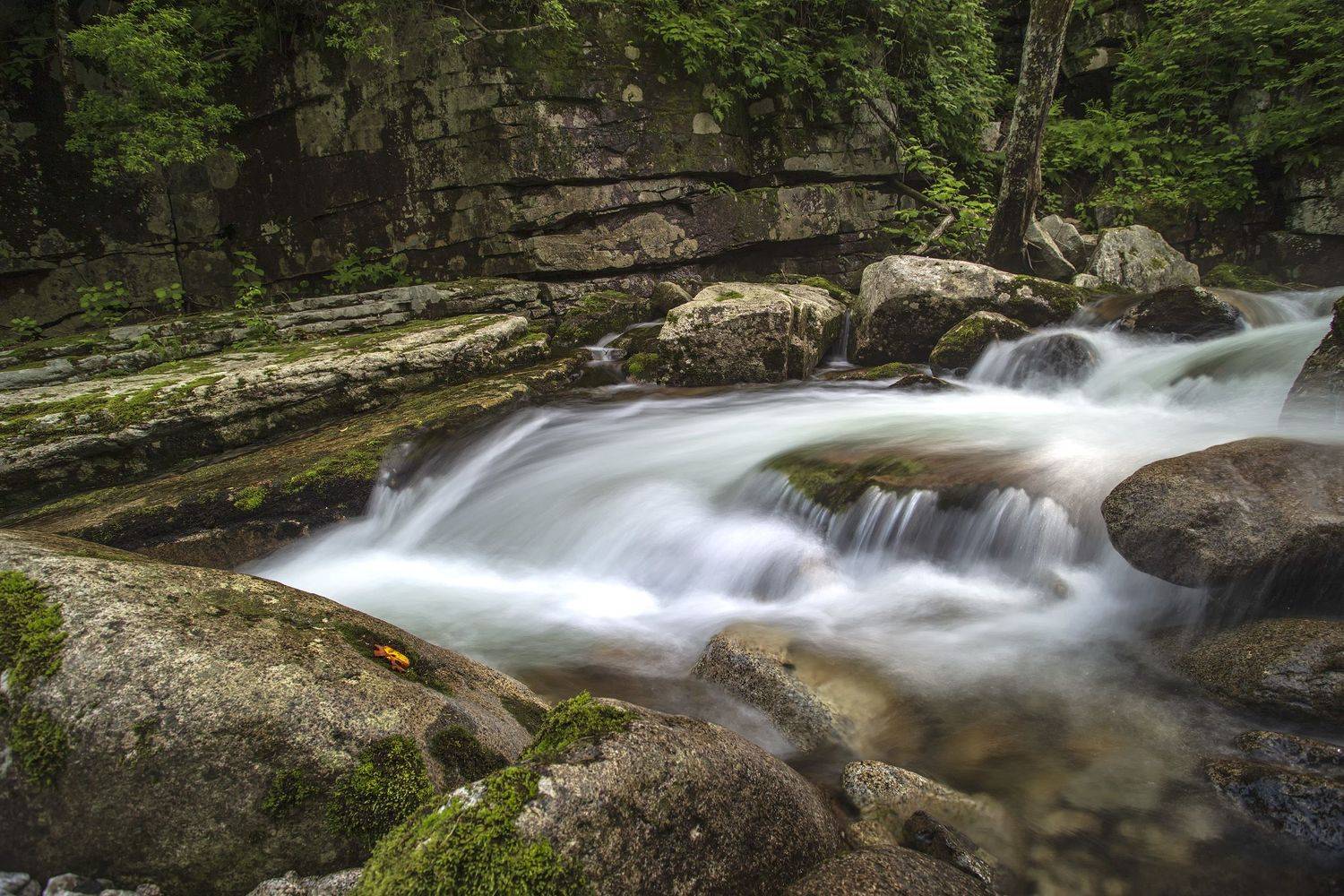 тайга, горы, река, ALEKSANDR KUZNETSOV