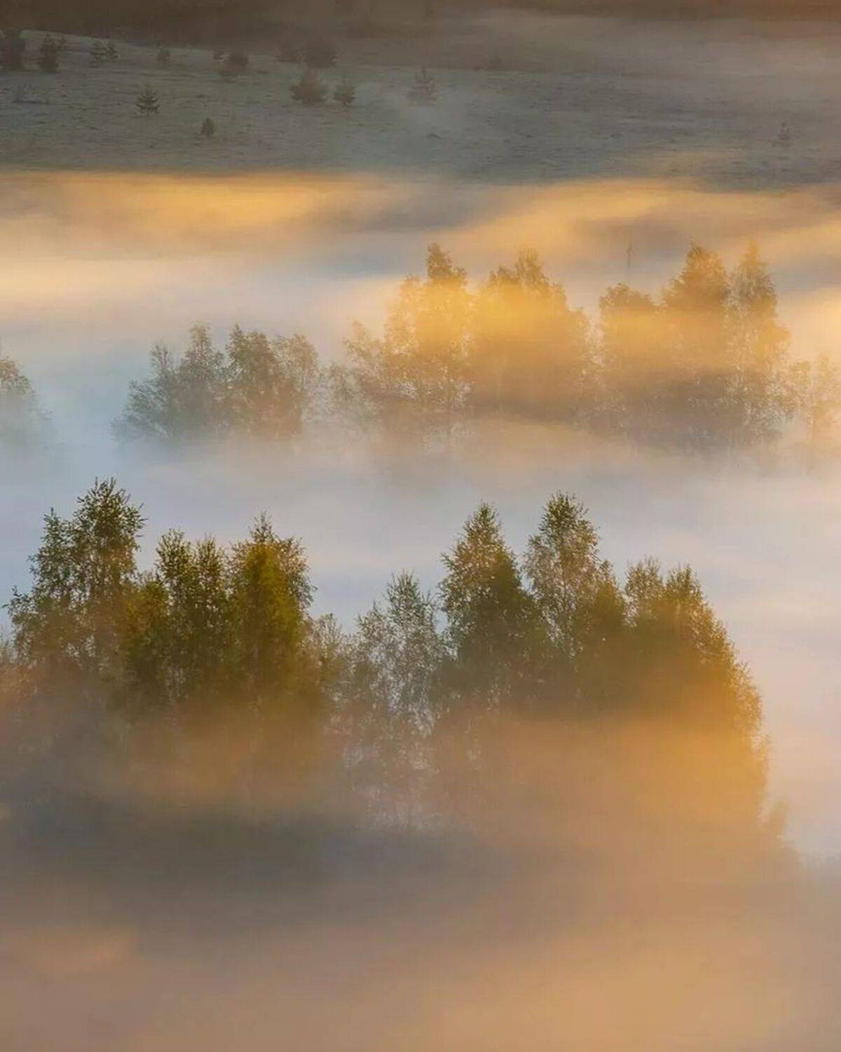, Петр Косых