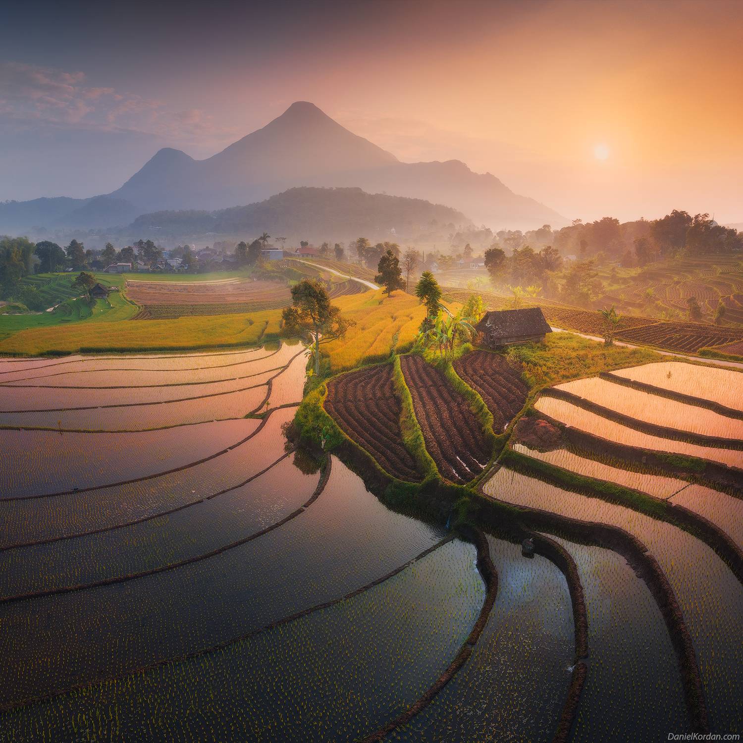 Trawas, Даниил Коржонов