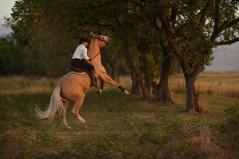 Елена И Бархан фото превью