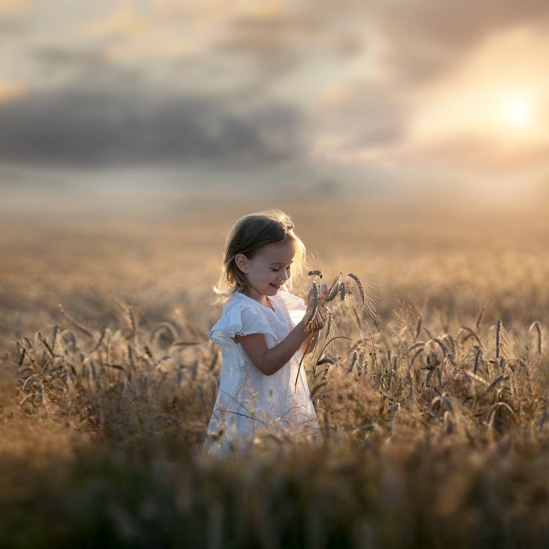 In the grain фото превью