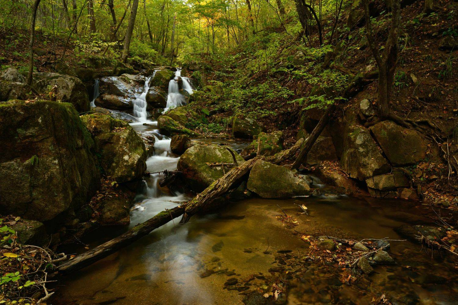 , Едуш Сергей