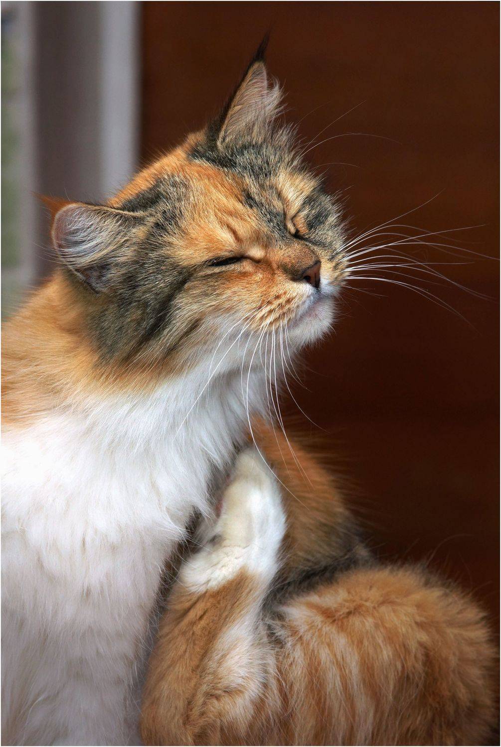 , Владимир Краснов