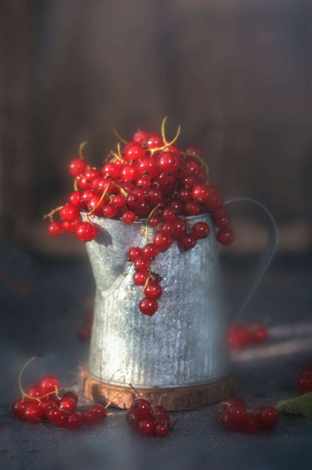 смородина, лето, ягоды, натюрморт, Anna Makarenkova