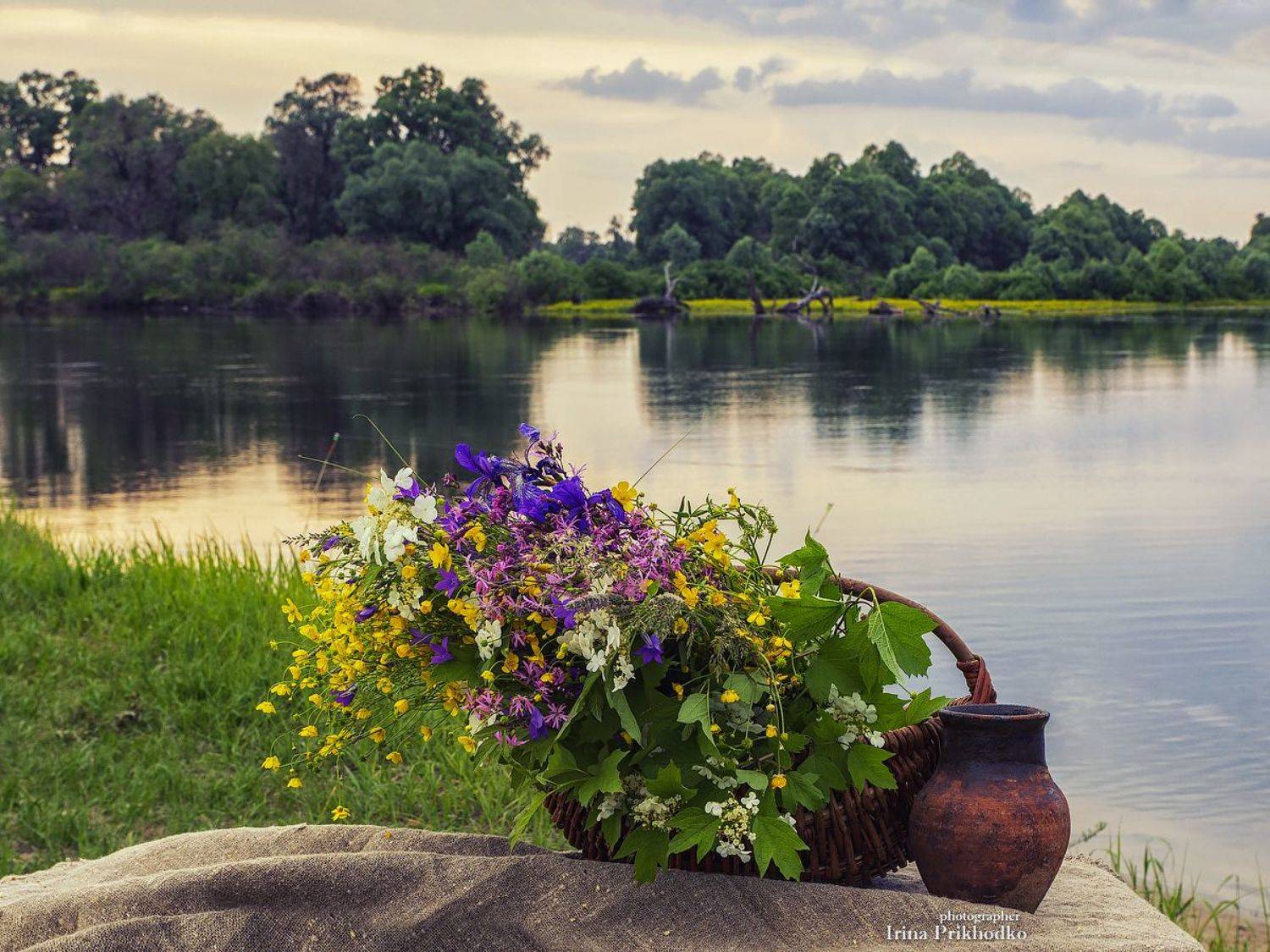 натюрморт, пейзаж, пленэр, цветы, река, лето, Приходько Ирина