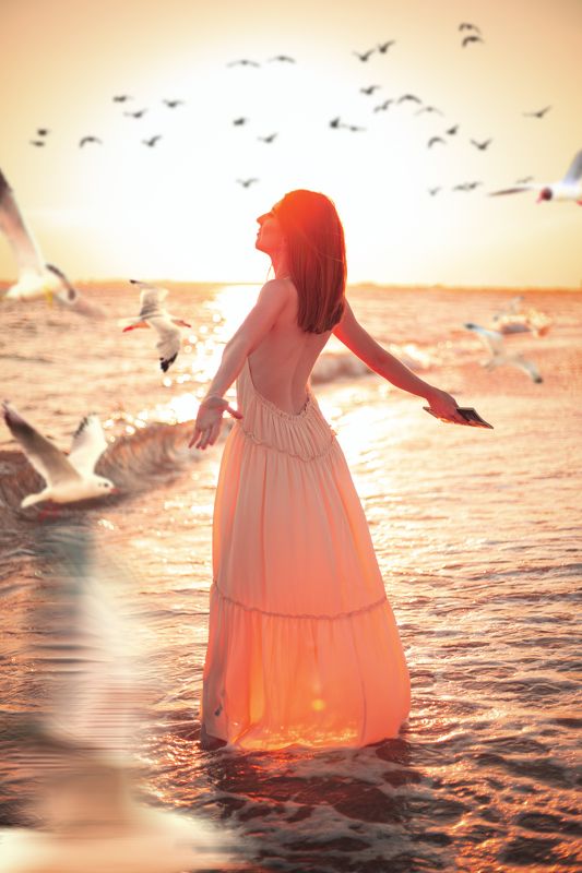 Jonathan Livingston Seagull фото превью