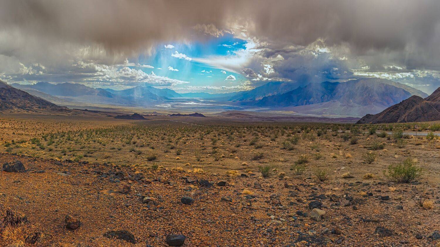 , Шварцман Евгений