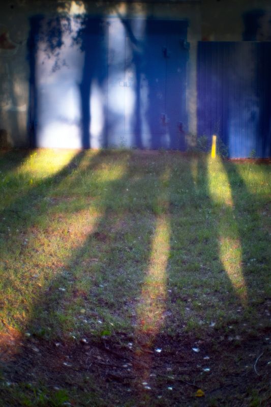 В темно-синем лесу.... фото превью