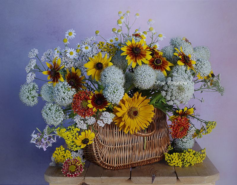 натюрморт, вера павлунина, цветы, Июльские цветы в лукошке. фото превью