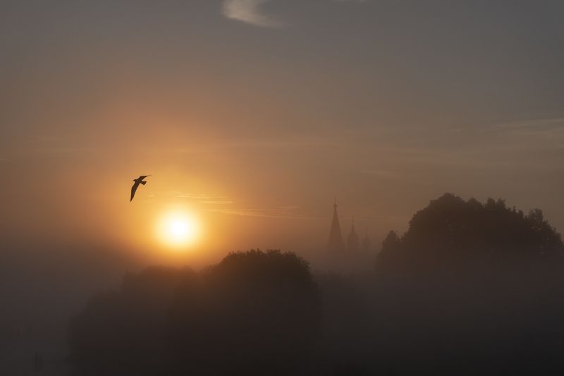 279 фото превью