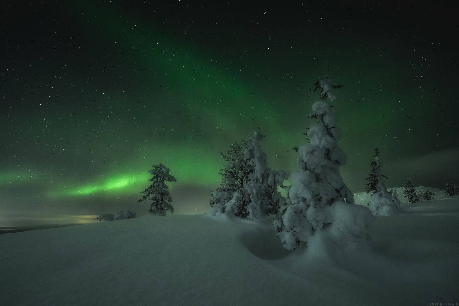 , Антон Шваин