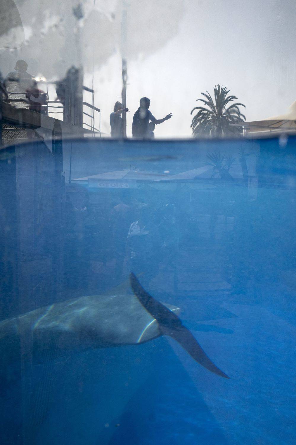 streetphotogrphy, streetphoto, urban, people, low key, sihlouttes, dolphin, water, Pablo Abreu