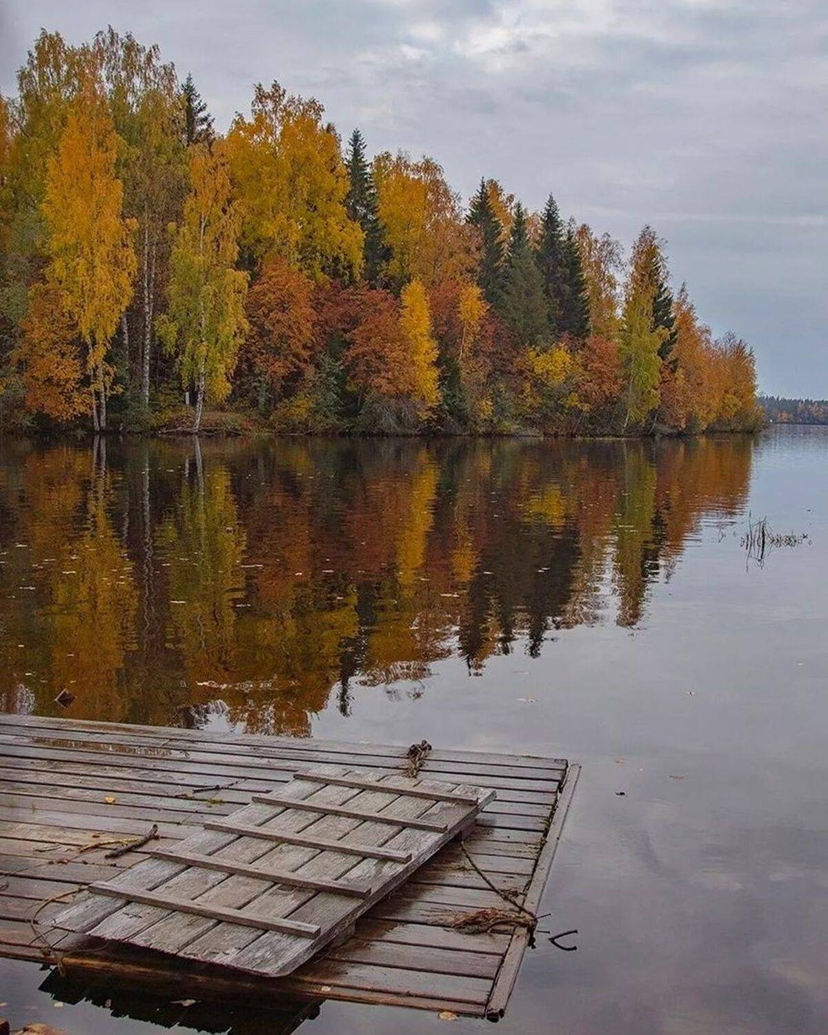 , Петр Косых