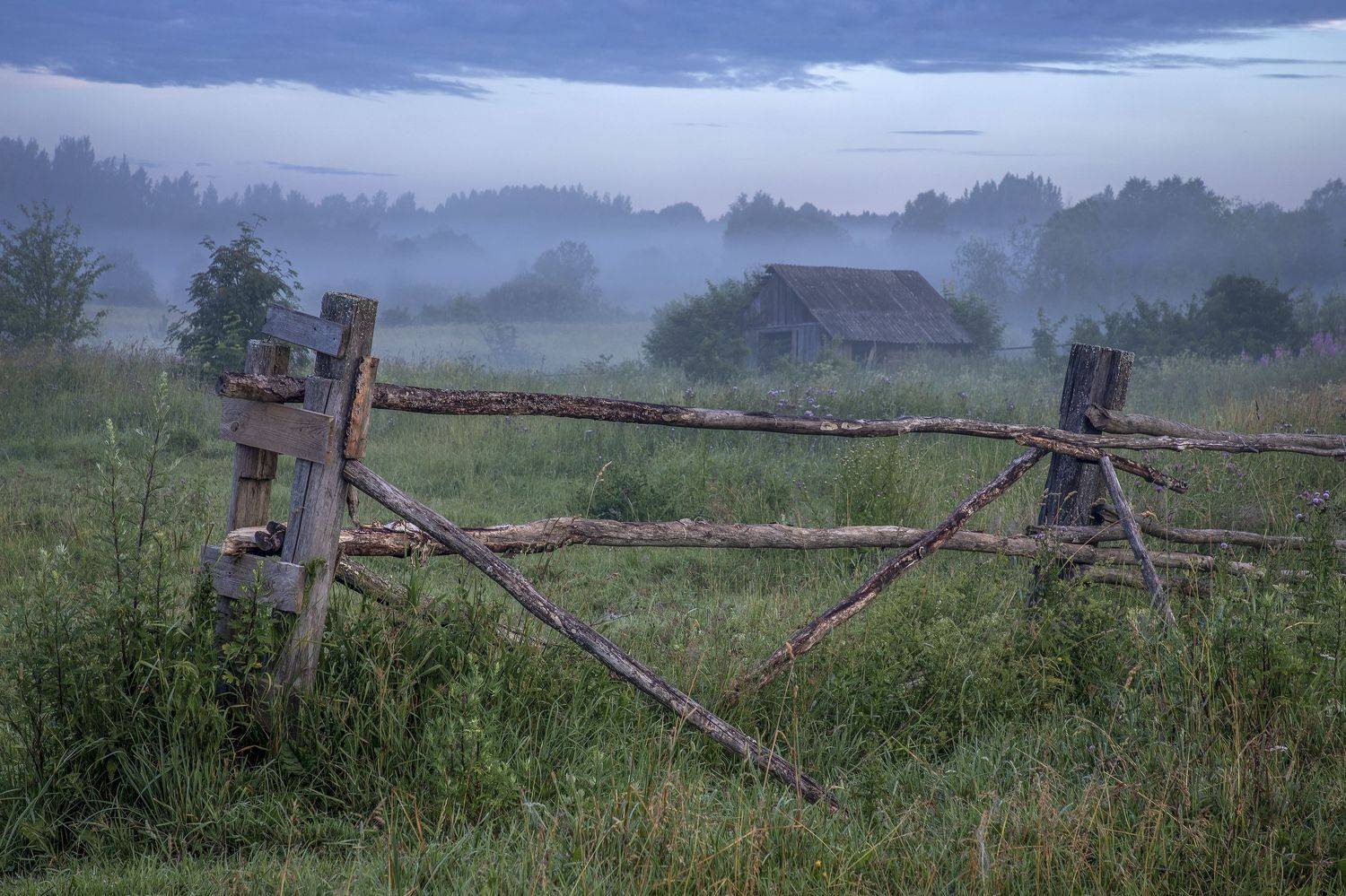 Тверская область, Гусева Елена