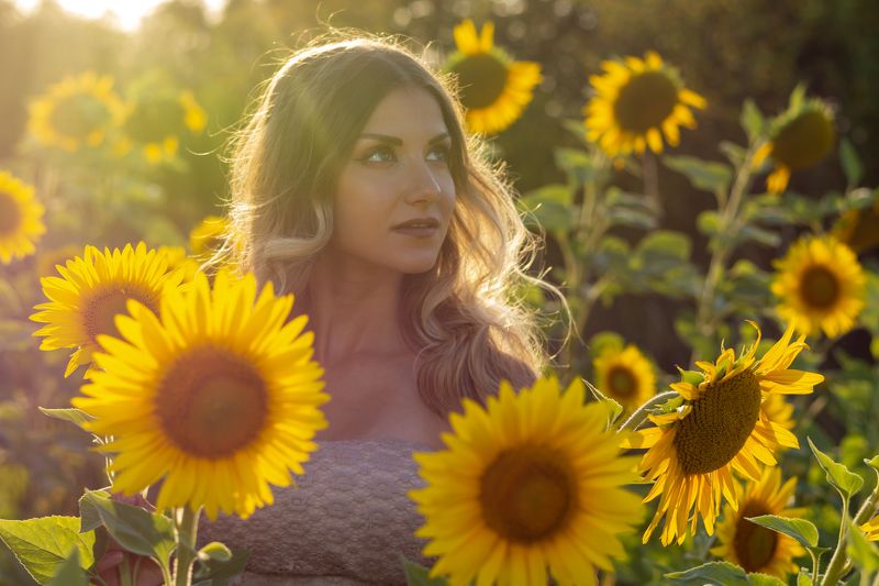 Млада жена в слънчогледа фото превью