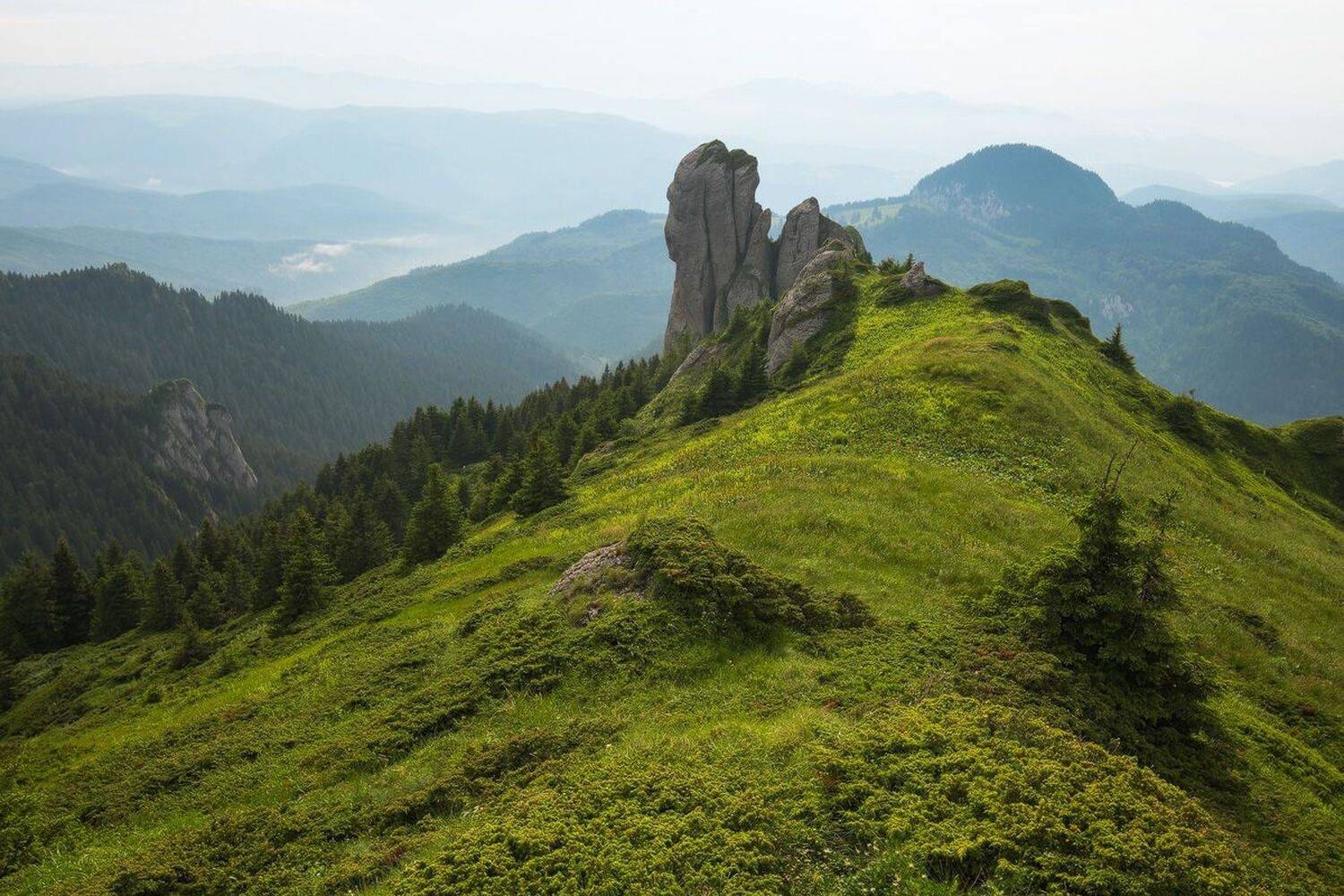 , Stefan Chirobocea