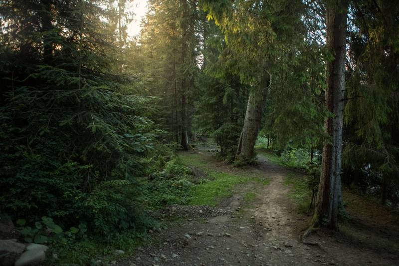 ... фото превью