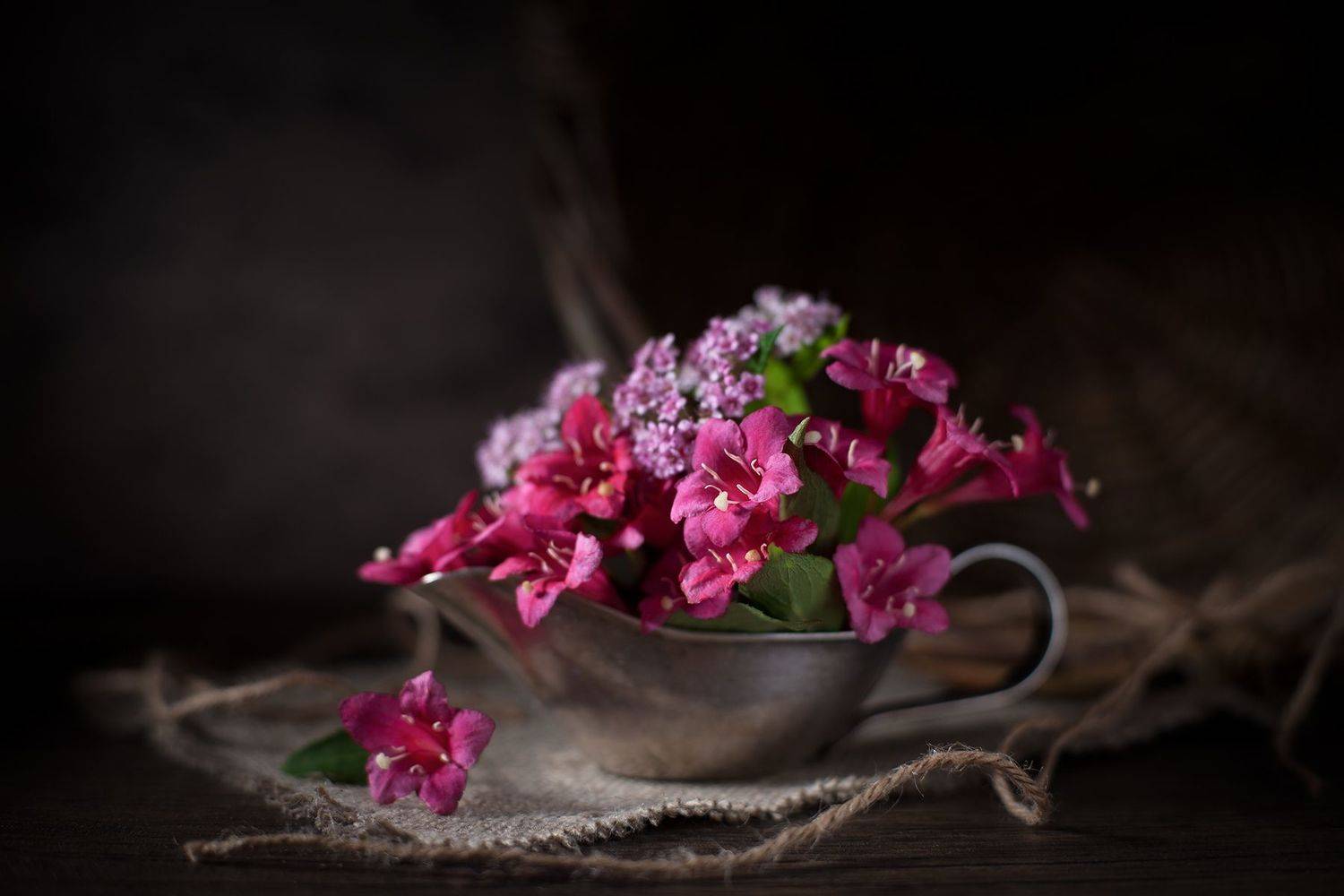 цветы, лето, солнце, Александр